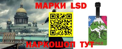 индика Ставрополь