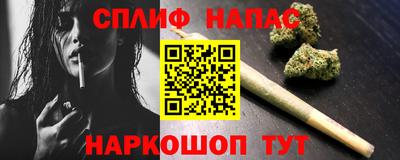 индика Ставрополь