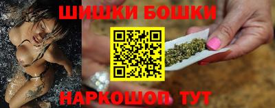 индика Ставрополь