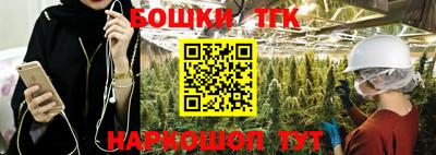 индика Ставрополь